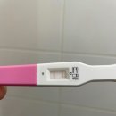 진생한의원 | 임신초기에 좋은 음식 필독하세요!