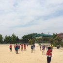 방초초등학교 이미지