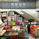 해광상회 | 부산 자갈치시장 회센터 새우소금구이 오징어회 시세 꿀팁