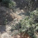 큰고개공원 이미지