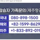 무안 국제 공항 추락 사고 여객기 탑승자 유가족 문의처 이미지