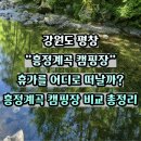 펜션벨뷰캠핑장 | 흥정계곡 어디로 가야 할까? 반딧불 캠핑장, 캠핑700 캠핑장, 펜션벨뷰&amp;캠핑장 비교 끝판왕 총정리 후기