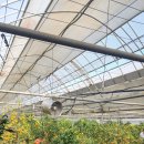 상환농장 이미지