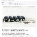 시백선수 귀국 이야기 (서울신문 박창규기자 / 불가리아 세계선수권대회 취재 담당) 이미지