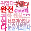 오르[OR]