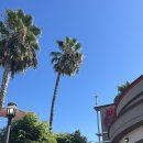 LA(🇺🇸)3일차