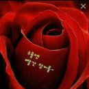 수요일 이미지