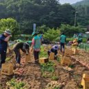 이일수농장 이미지