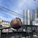 코코아이비인후과의원 | 이석증 증상으로 수 이비인후과 방문 후기｜검사부터 치료까지 정리