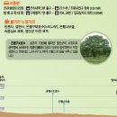 2020년 02월 11(화) 북한산 둘레길 4,5,6코스 이미지