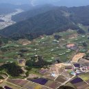 안성컨트리클럽 이미지