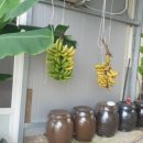 양남농장 이미지