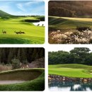 나인브릿지CC 이미지