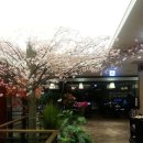 봄치과기공소 이미지