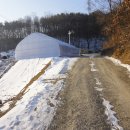 녹원동물병원 | 용인남동무네미고개-함박산-부아산-멱조고개-석성산-마성ic-할미성-향린동산-아자치고개-녹원마을-신갈.