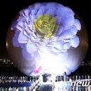 달빛호수 뉴스1