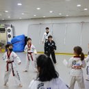 수 태권도장 이미지