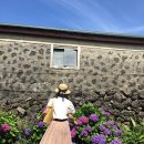 안성리-7 이미지