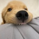 룰루랄라 이미지