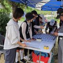 제14회 강동구청장배 파크골프대회 성황리에 개최 이미지