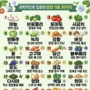 보현사 Daum카페