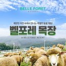 와이에스제이 네이버블로그