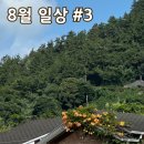 처갓집 양념치킨(진도점) | 𝐀𝐮𝐠𝐮𝐬𝐭, 𝟐𝟎𝟐𝟒 #𝟑