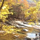 호박소가는길 이미지