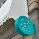 라우프독 이미지