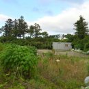 봉개동주민센터 이미지