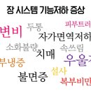 트윈스킨 이미지
