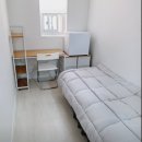 스테이 루나 이미지