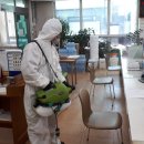 대구방역 이미지