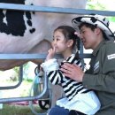 신선한목장 이미지