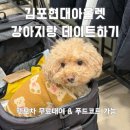 현대애견 | 김포현대아울렛 애견동반 후기 | 김현아 강아지랑 쇼핑한 후기 &amp; 푸드코트 가능