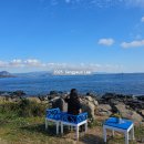 대평농장 | 가파도 배예약 배타는곳