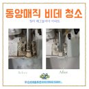 청라 매그놀리아 동양매직 비데청소 후기. 이사할 때 꼭 해야 하는 위생관리, 비데 분해청소