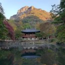 동산동-10 이미지