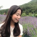 송당팜 이미지
