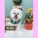 몽끄베르 이미지