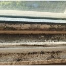 클린케이 이미지