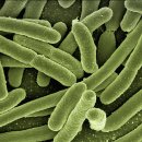 우먼플러스산부인과의원 이미지