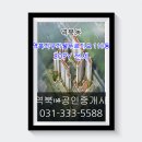 역북114공인중개사사무소 이미지