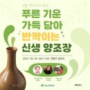 오씨갤러리 이미지