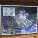 한국목장 | 말을 보며 힐링 산책 아이들과 피크닉 하기 좋은 일산 '한국마사회 원당목장' 주차🚗 솔직후기 [경기/고양]