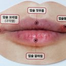 한양약국 이미지
