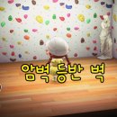 암벽등반벽 이미지