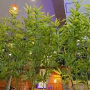 룽타우객잔후평점 이미지