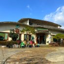 시골쌈밥 | 충남 보령 맛집 시골돌솥쌈밥 솔직 방문후기