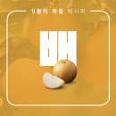 시원로컬푸드 이미지